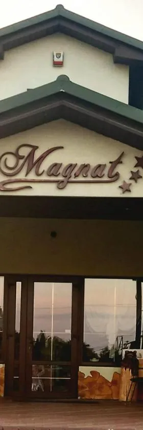 Hotel MAGNAT，位于Głogów Małopolski的酒店