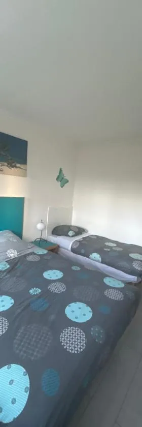 Appartement cosy ligne 11 proche Paris，位于罗尼苏布瓦的酒店