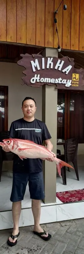 Mikha Homestay BUNAKEN，位于美娜多的酒店