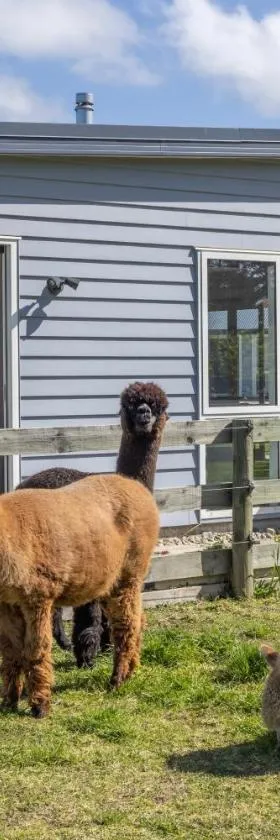 Alpaca Serenity Farmhouse，位于Sandy Knolls的酒店