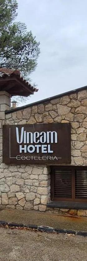 Vineam Hotel，位于拉穆埃拉的酒店
