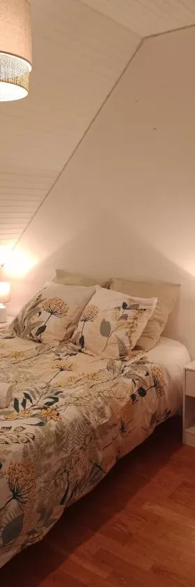 Chambre dans maison individuelle，位于Saint-Renan的酒店