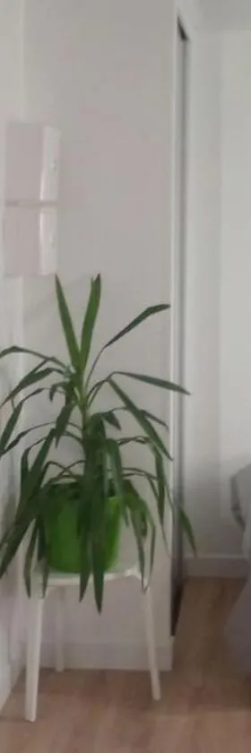 Charmant Studio indépendant，位于Louvres的酒店