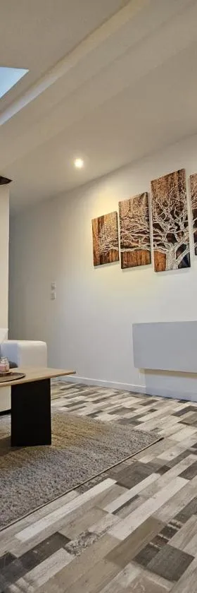Joli appartement mansardé，位于德西兹的酒店