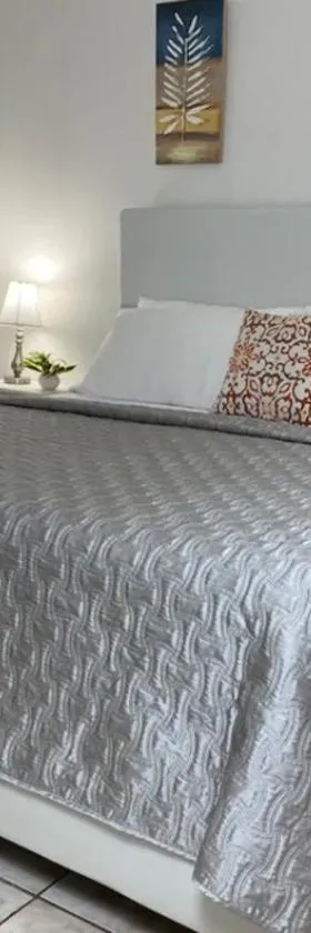 Shalex House 3，位于卡罗利纳的酒店