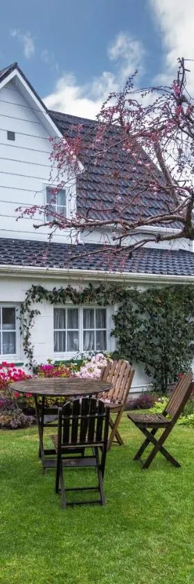 Phoenix Thermal Resort - Taupo，位于陶波的酒店