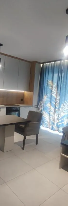 Apartament S，位于切哈努夫的酒店