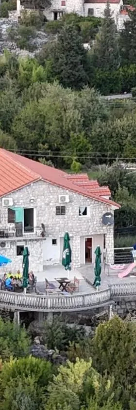 Skadar Lake Family Resort，位于利杰卡科诺杰维卡的酒店