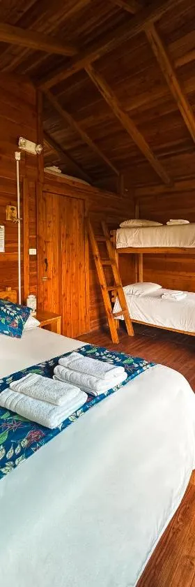 Hotel El Abrazo del Arbol，位于明多的酒店