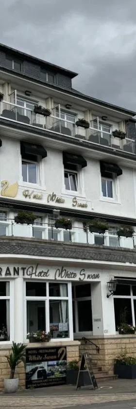 hotel whiteswan，位于埃讷安的酒店