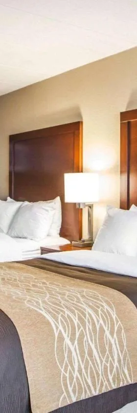 Quality Inn & Suites Orland Park - Chicago，位于奥兰帕克的酒店