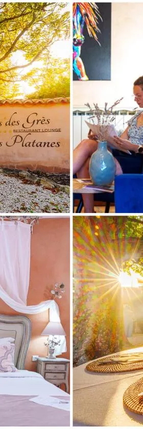 Hôtel Le Mas des Grès & Restaurant Sous les Platanes，位于拉聂的酒店