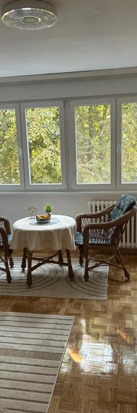 Apartman Tejsi，位于Tošin Bunar的酒店