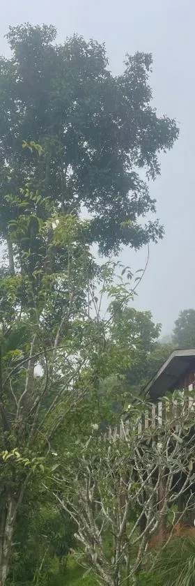 森林乡村民宿，位于沙蒙的酒店