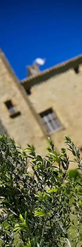 Le Domaine de Pépé，位于Saint-Julien-de-Briola的酒店