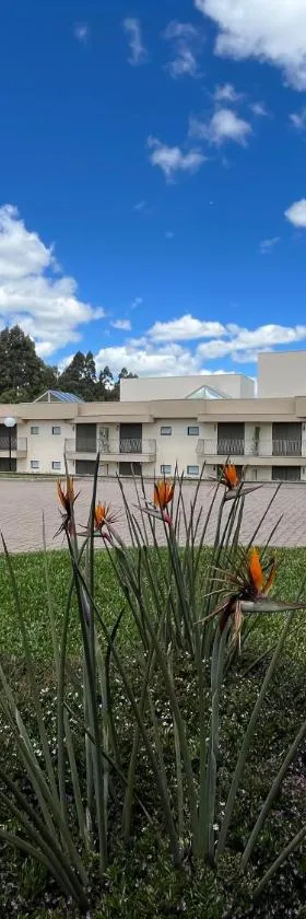 Ville Del Bosco Hotel，位于São Marcos的酒店