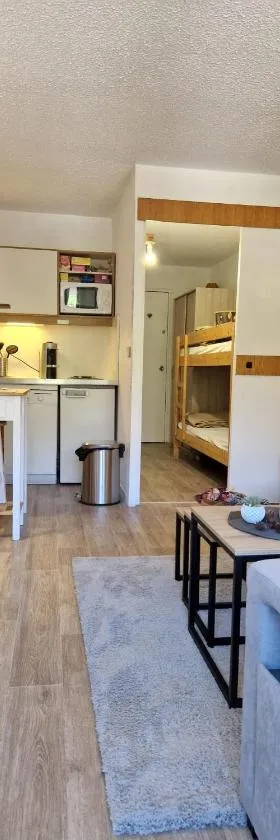 Studio central proche des pistes，位于伊索拉的酒店