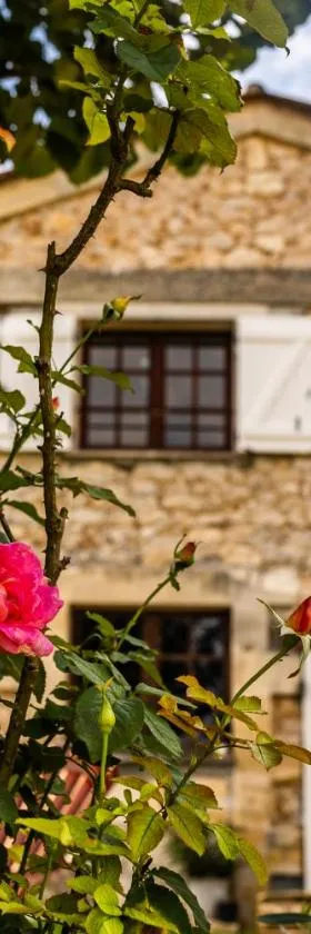 Maison au cœur de Saint-Émilion，位于Saint-Christophe-des-Bardes的酒店
