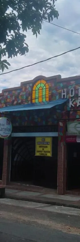 Hotel Kamellon，位于Purificación的酒店