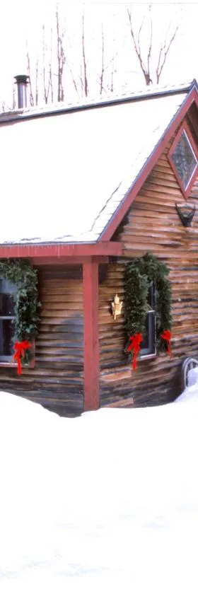 Goldilocks Cabin，位于斯托的酒店