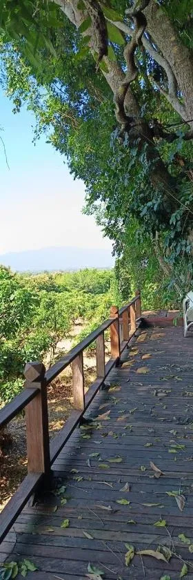 Napahong forest camp，位于Ban Pa Ha的酒店