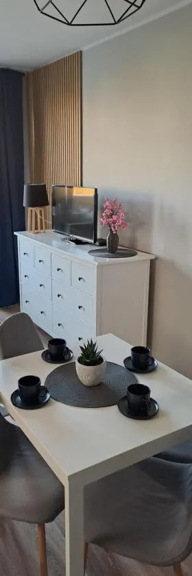 Apartament Blue，位于普沃茨克的酒店