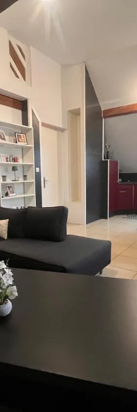 Appartement 70m2 Illkirch centre，位于伊尔基希-格拉芬斯塔登的酒店