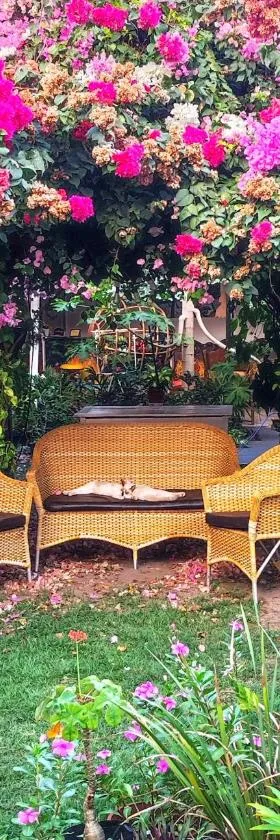 Pousada Solar Encanto do Marajó，位于索雷的酒店