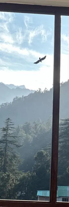 Whistling Pines Homestay，位于卡尔帕的酒店
