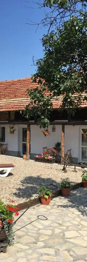Sunflower Guest House Bulgaria，位于Stefan Stambolovo的酒店