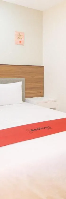 RedDoorz @ Leoncia Apartelle Mandaue City，位于曼达维市的酒店