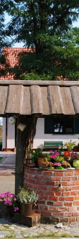 Agroturystyka Zagroda Borowo，位于科宁的酒店