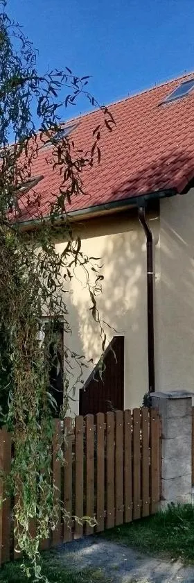 姬若维奇旅馆，位于弗兰季谢克矿泉镇的酒店