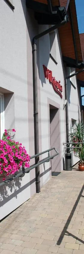Pokoje Hotelowe Wiktoria，位于Goczałkowice Dolne的酒店