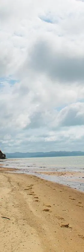 Stunning beachfront bach!，位于Manukau Heads的酒店