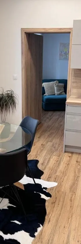 Sušilova 14 apartments I，位于普热罗夫的酒店