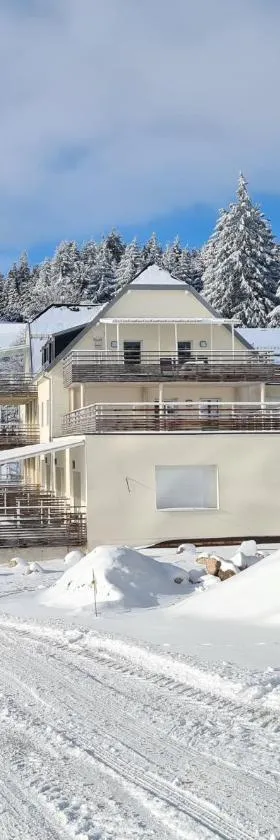bel appartement 3 pièces dans la Résidence Vosges-Alsace Orbey，位于奥尔贝的酒店