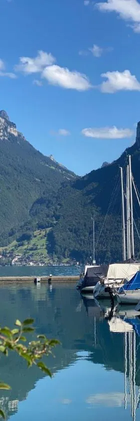 Herrlicher Blick auf Berge und See，位于法伦湖的酒店