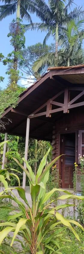 Cabana na Montanha，位于莫雷蒂斯的酒店