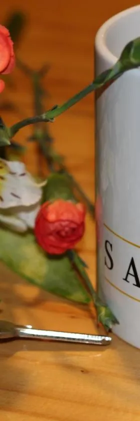 SALITRE SPA，位于Pozo Almonte的酒店