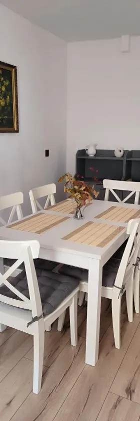 Apartament pod Wieżą Srebrna Góra，位于斯雷布纳古拉的酒店