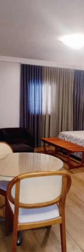 Castelo Inn Hotel，位于戈亚尼亚的酒店
