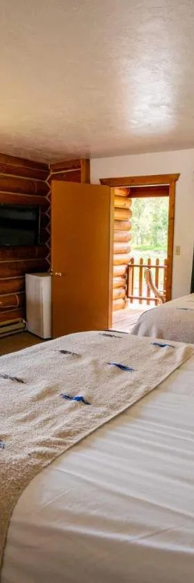 River's Fork Lodge，位于Salmon的酒店