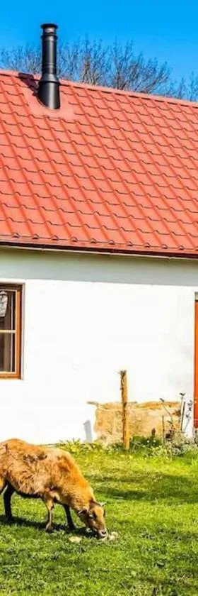 Ubytování v tichu u Českého Krumlova，位于Přídolí的酒店