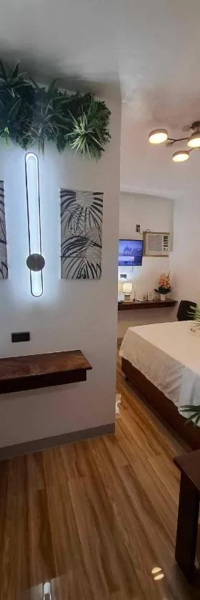 Dreamstay Hostel，位于莫阿尔博阿的酒店