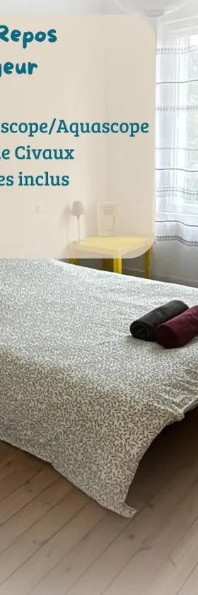 LE REPOS DU VOYAGEUR T3 45 m2 tout confort，位于吕萨克莱沙托的酒店