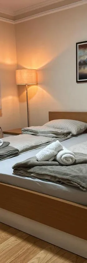 Royal Apartmani，位于内戈廷的酒店