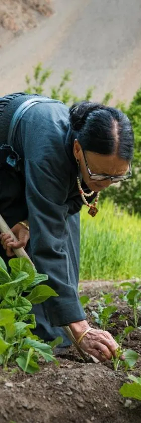 Domkhar Eco Homestay，位于Dumkhar的酒店