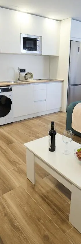 1ª planta C Apartamentos Juan Robledo Centro ciudad，位于安度亚尔的酒店