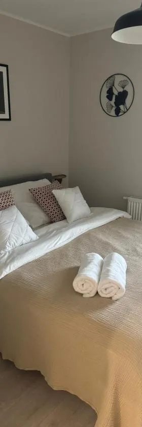 Apartament 9 Rydzyna，位于Rydzyna的酒店